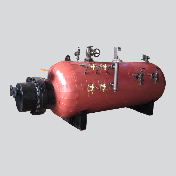 Wood / Briquette Fired Steam Boiler