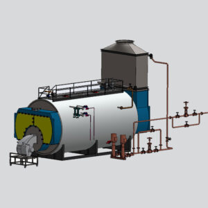 5000 Kg - 5 Ton Gas Fired Steam Boiler (PNG / LPG Compatible)